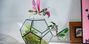 Where to Buy the Best Phantom Praying Mantis Building Kit Online